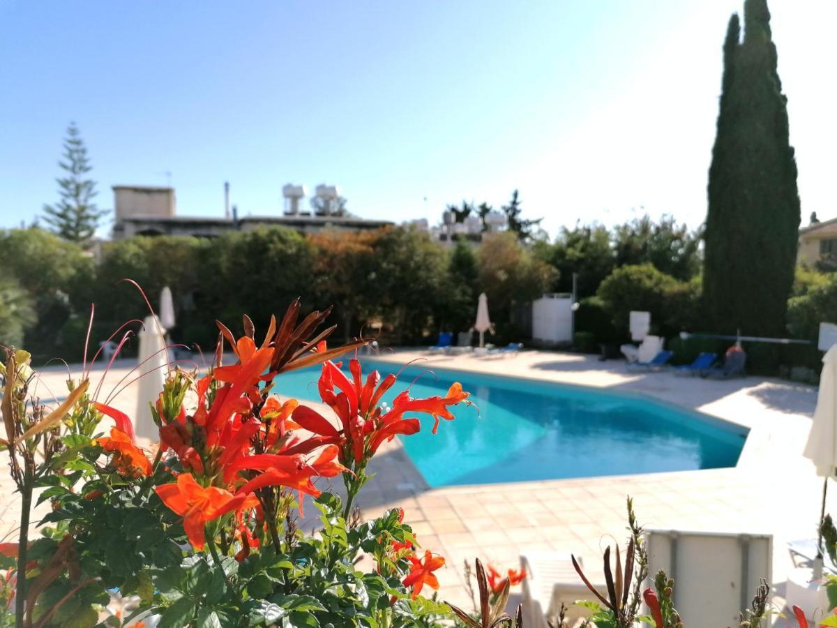Margarita Gardens - Self Service Apartments Paphos Exteriör bild